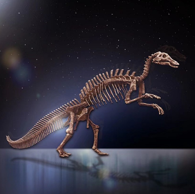 鲸探2022年9月5日上线侏罗纪巨型恐龙阿纳川街龙化石 NFT藏品 第2张